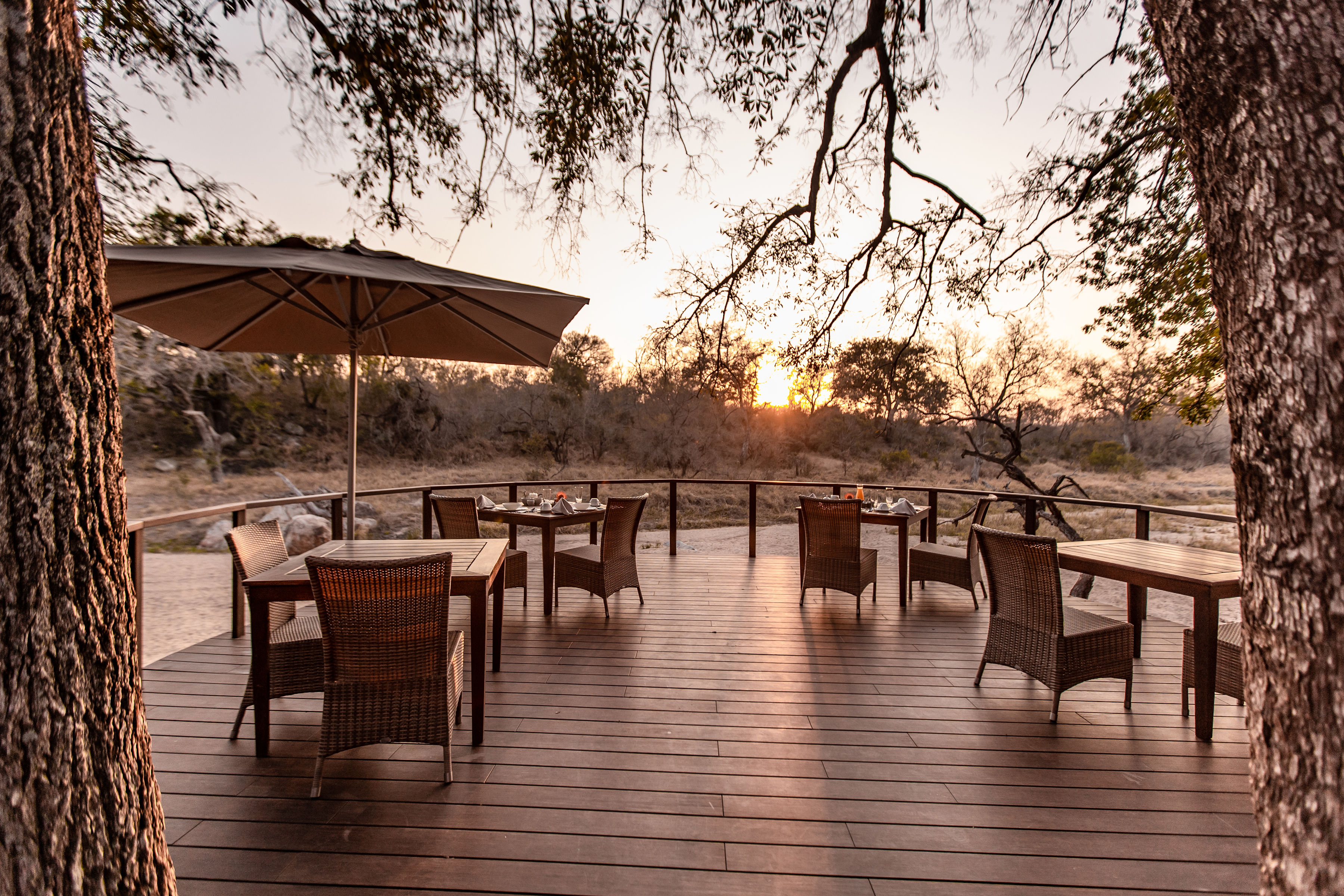 Dulini Moya thumbnail 5